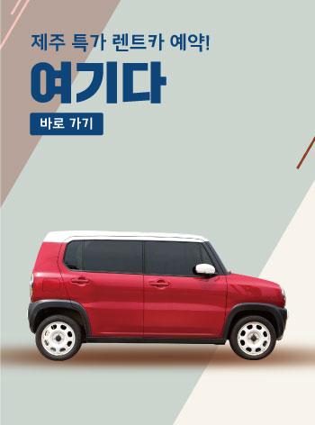 팝업이미지